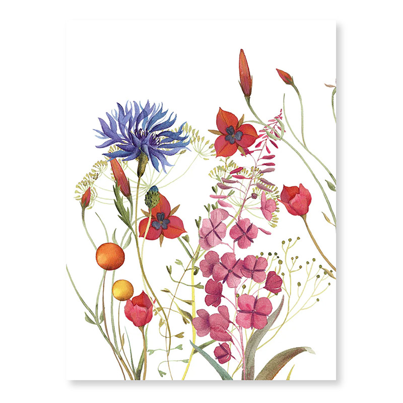 Fiordaliso Kitchen Towel Pat 1