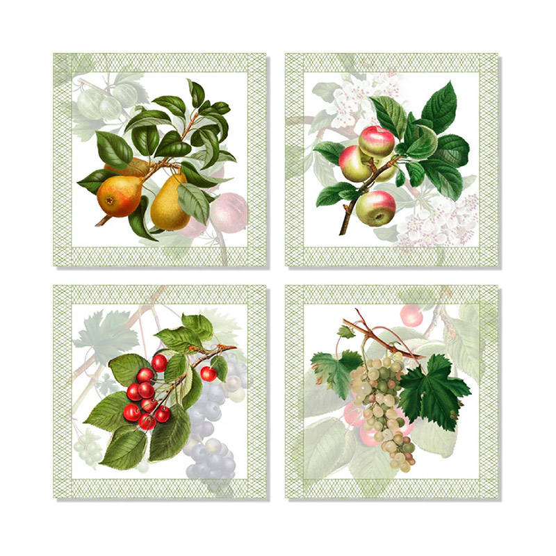 Summerfruit Napkins S/4