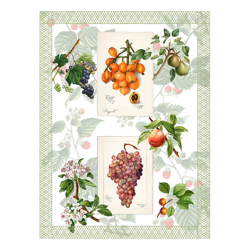 Summerfruit Kitchen Towel Pat1