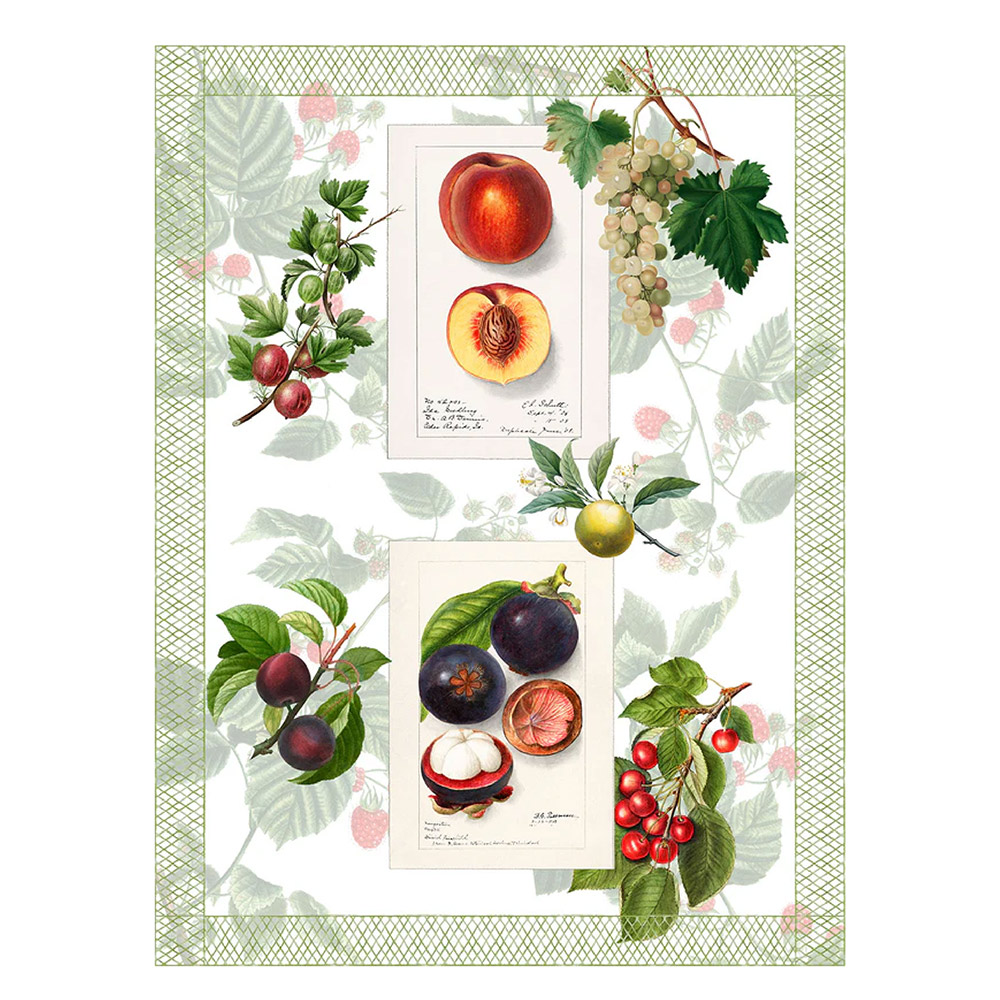 Summerfruit Kitchen Towel Pat2