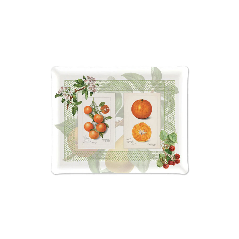 Summerfruit Tray