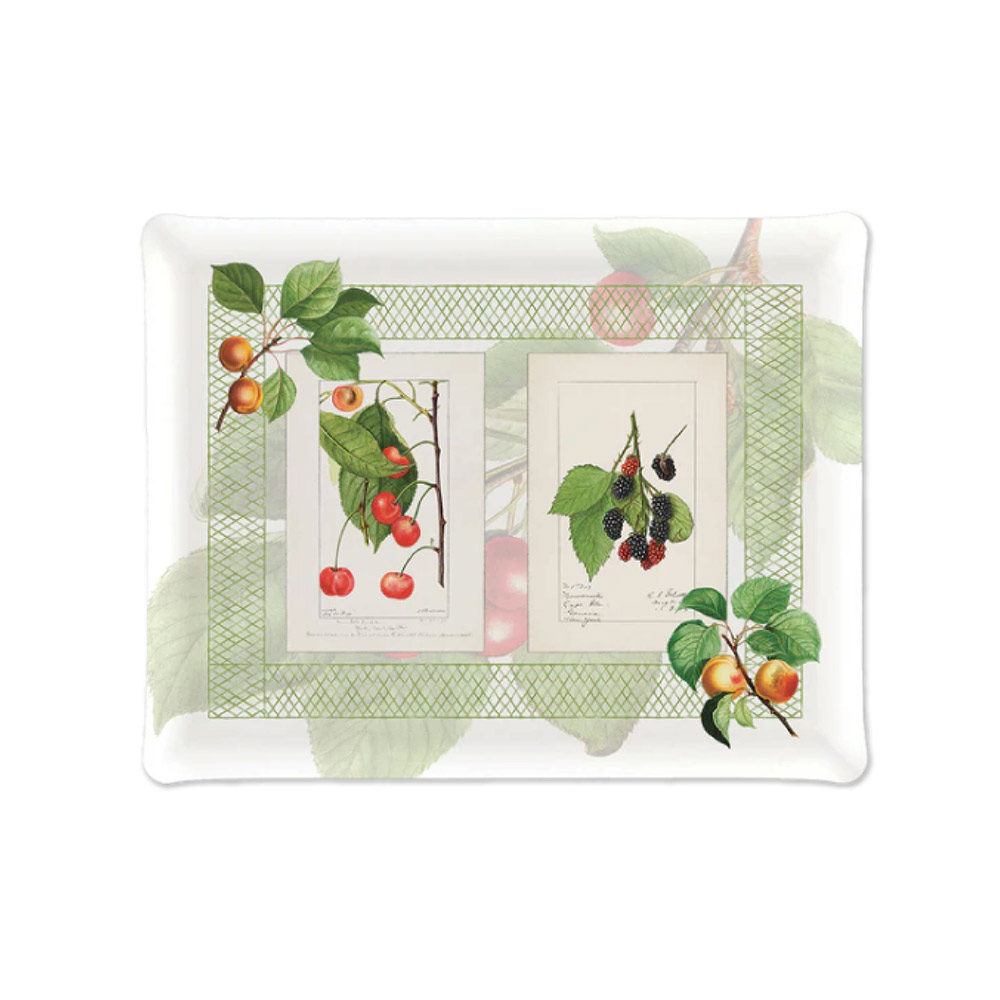 Summerfruit Tray