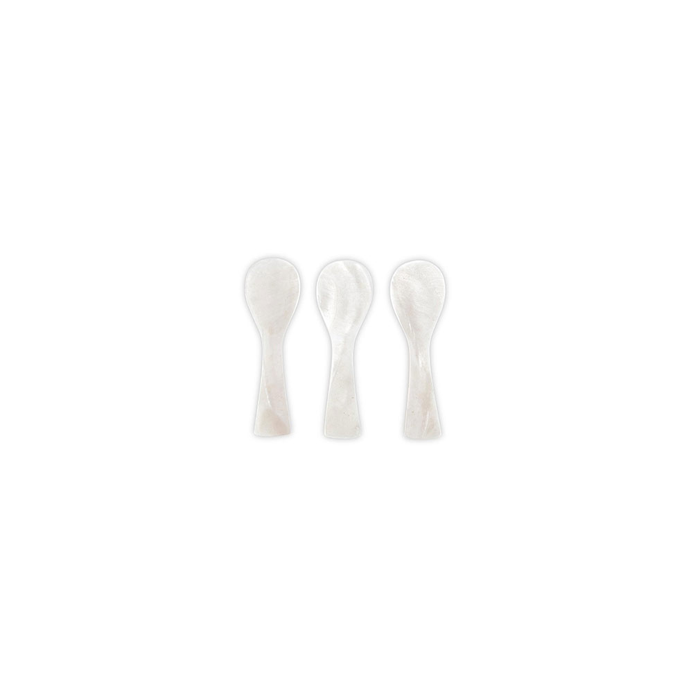 Shell Spoon S/3