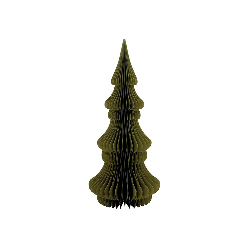Paper Tree Noble Fir Green