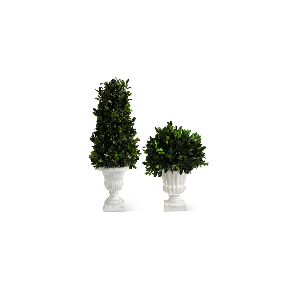 Boxwood in Graywash Urn S/2