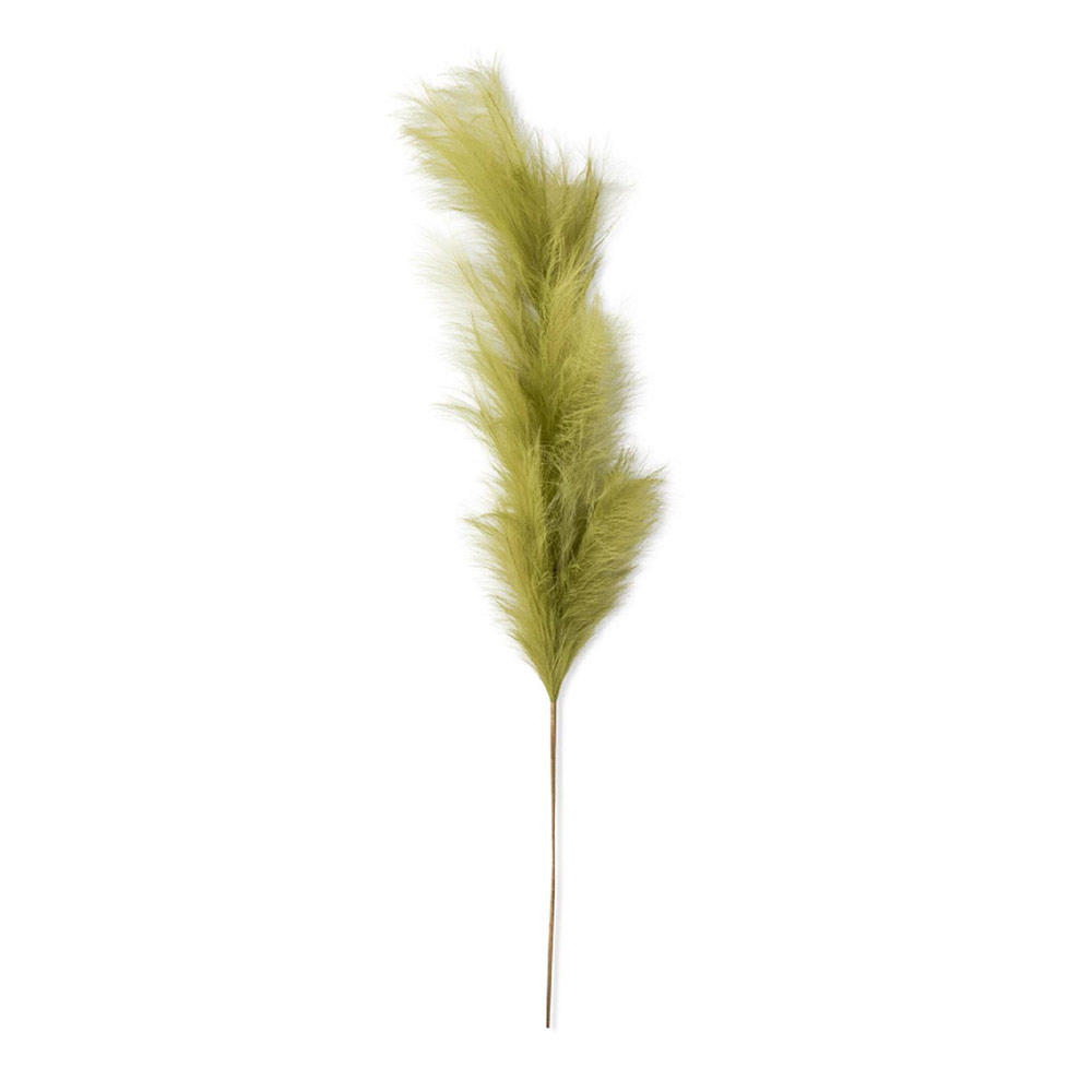 Green Pampas Grass Stem