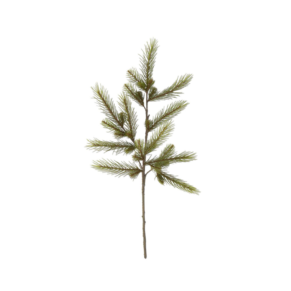 Green Pine Stem