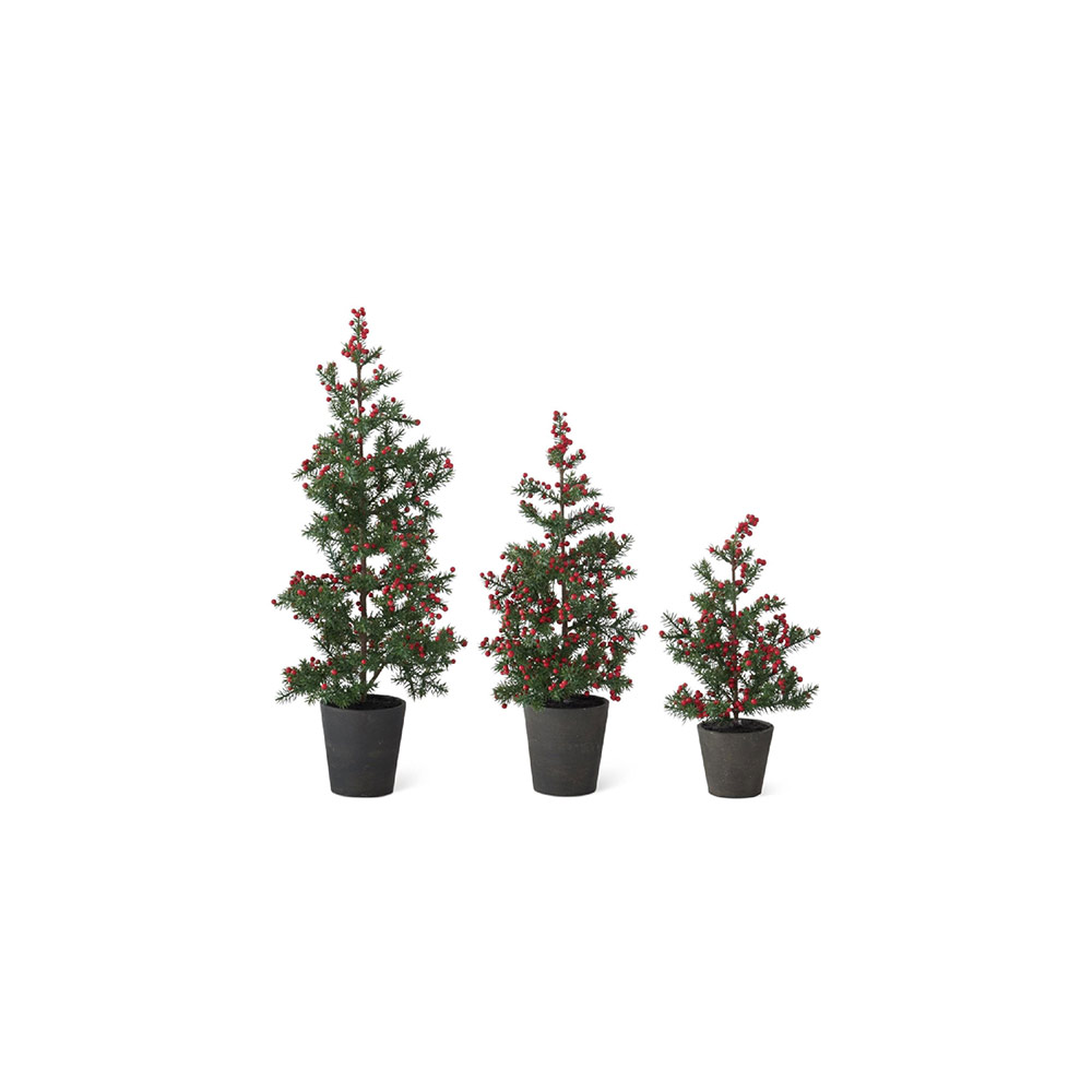 Juniper Pine Trees Berries S/3