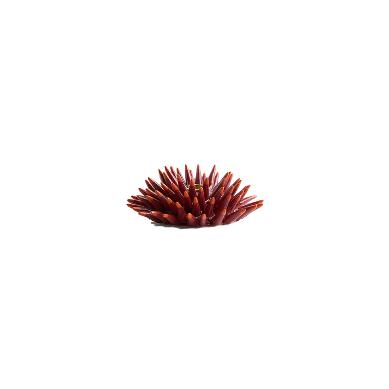Spine Candleholder Ceramic Solid - Bordeaux