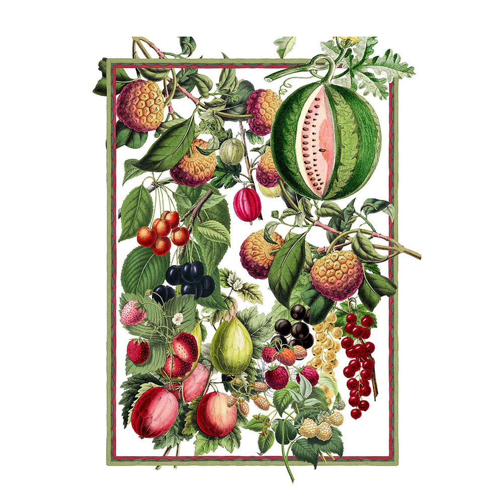 Exotica Kitchen Towel