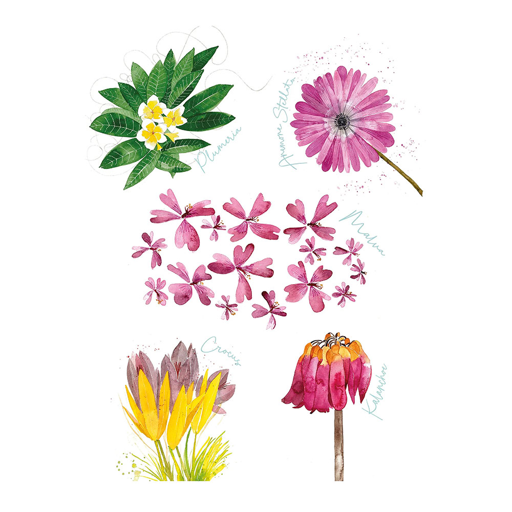 Flora Rosa  Kitchen Towel 1