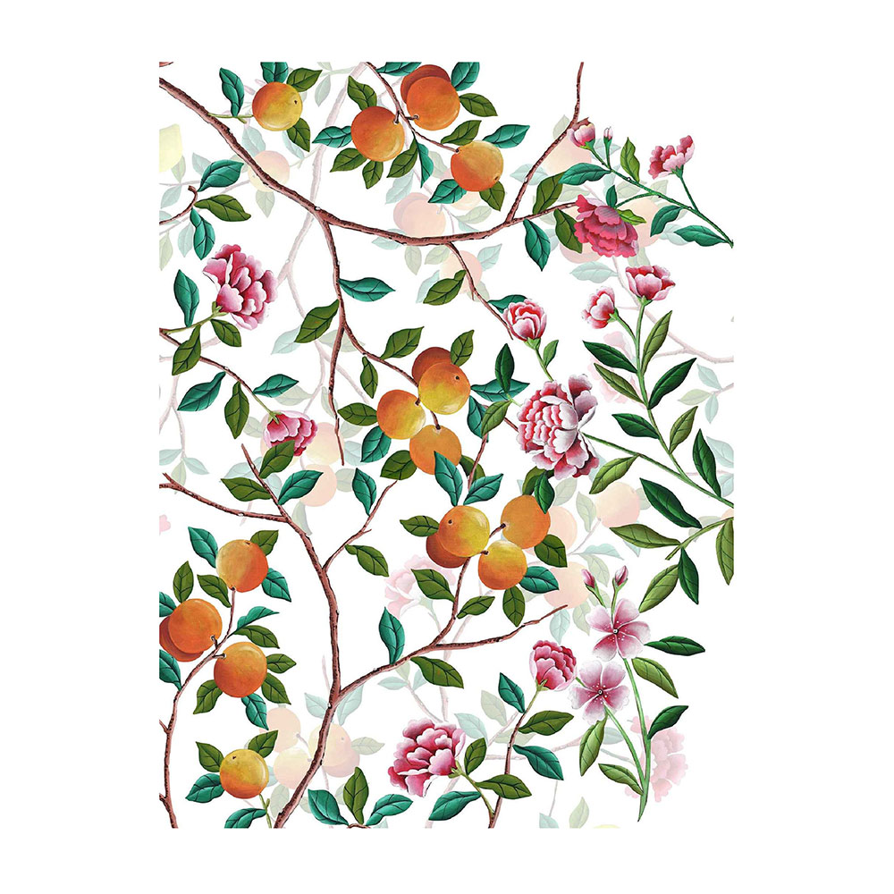 Les Agrumes  Kitchen Towel 1