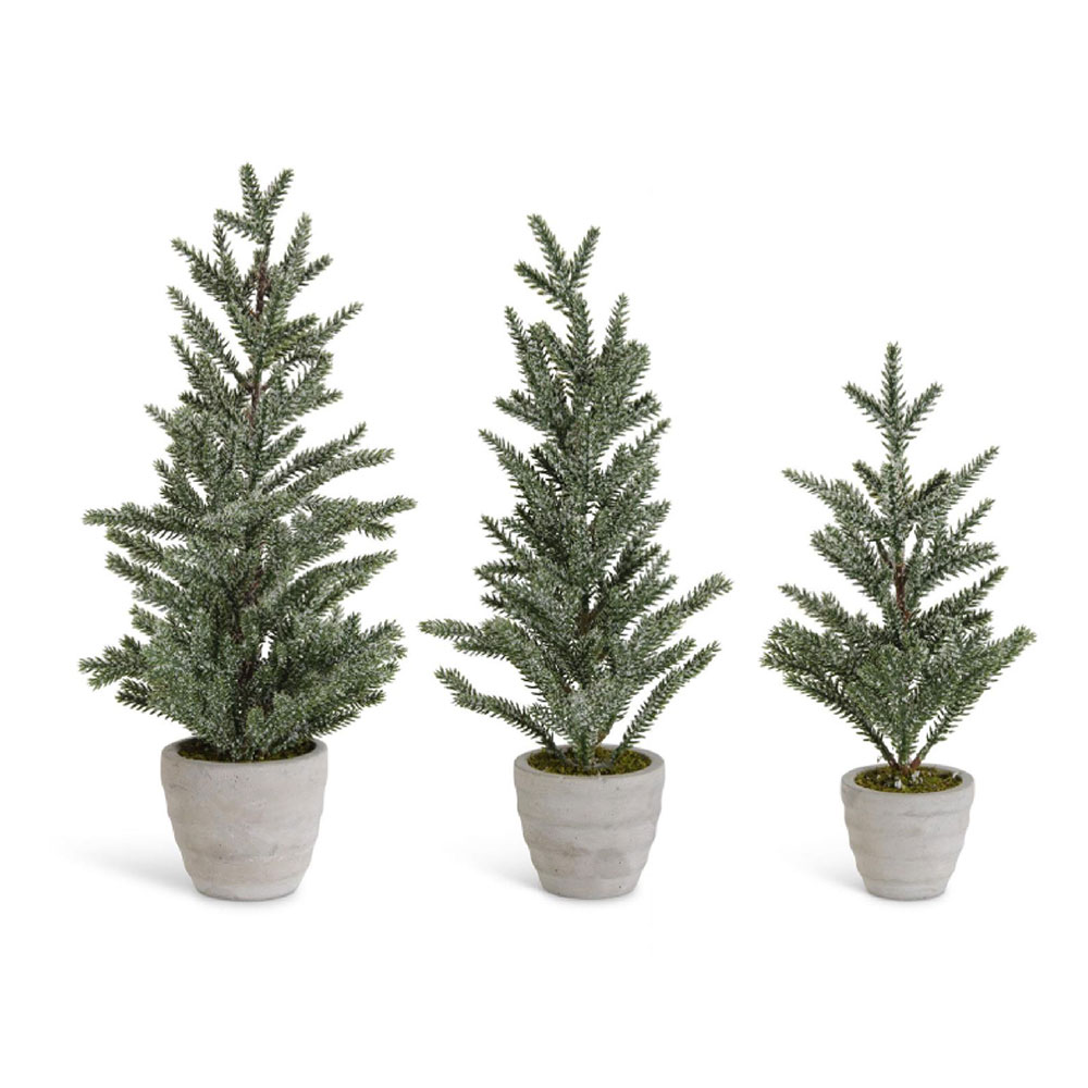 Snowy Pine Trees S3