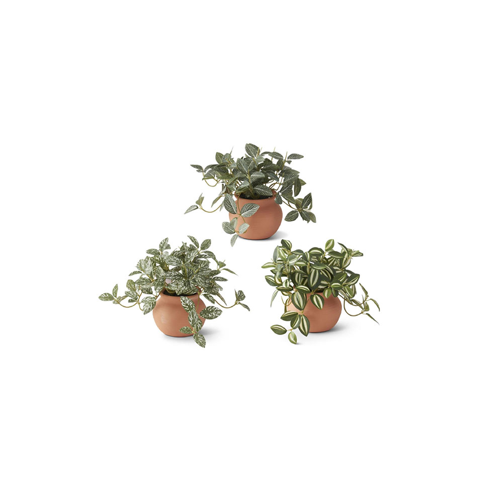 Ceramic Potted Plants
