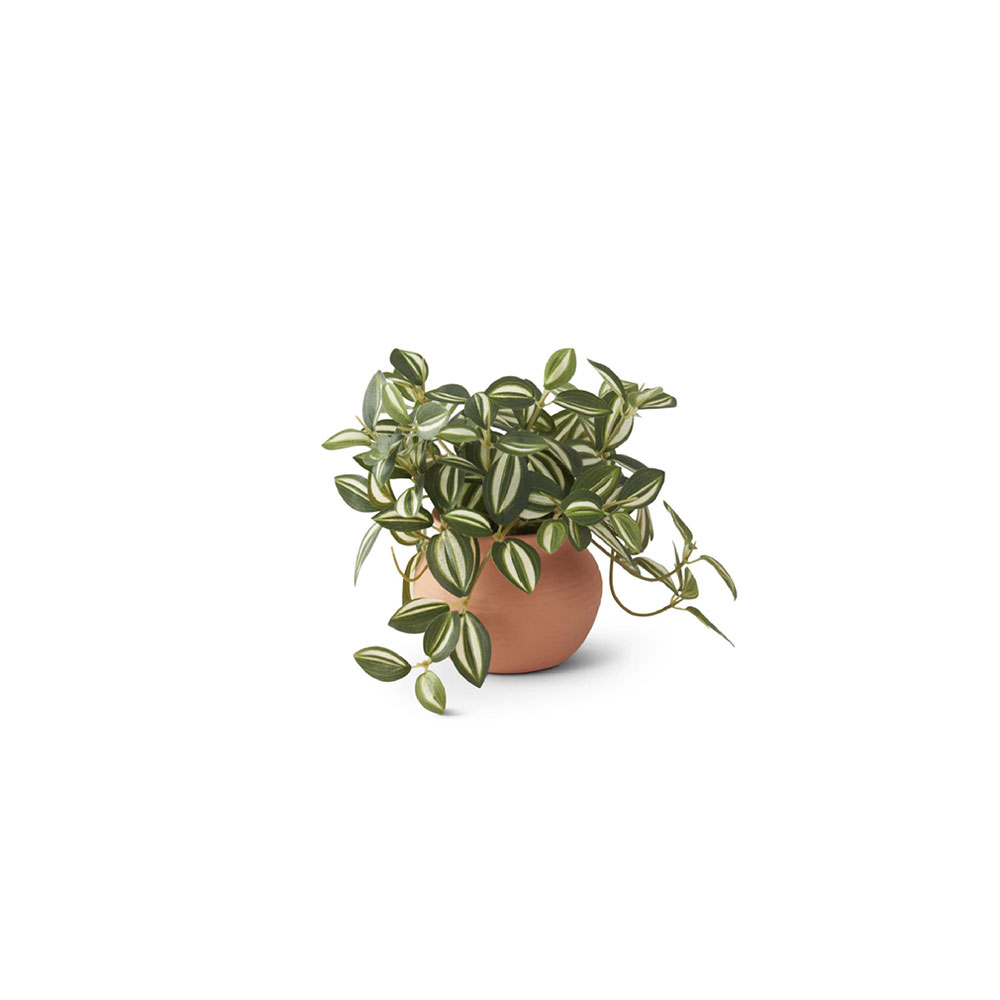 Ceramic Potted Plants - Imagen 2