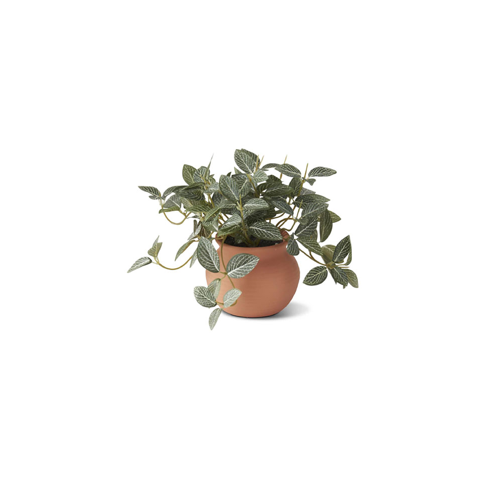 Ceramic Potted Plants - Imagen 3