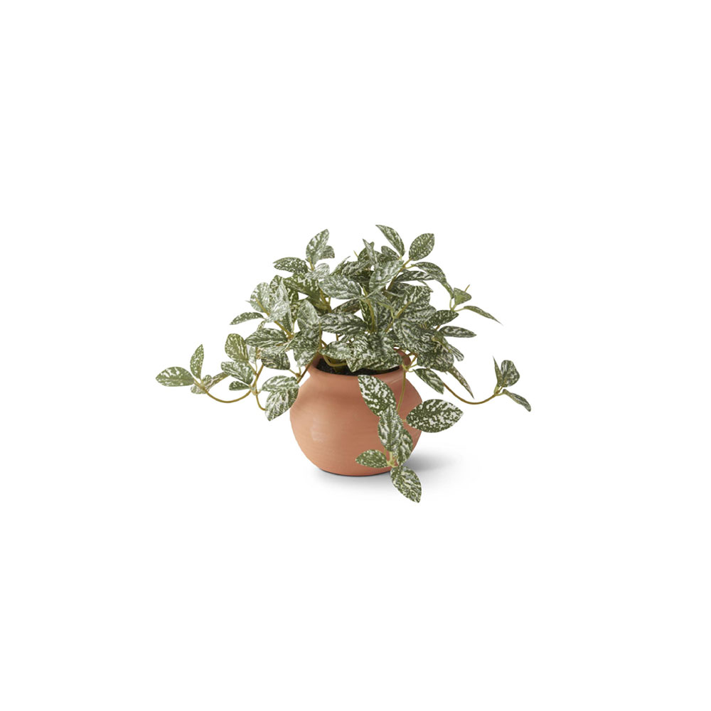 Ceramic Potted Plants - Imagen 4